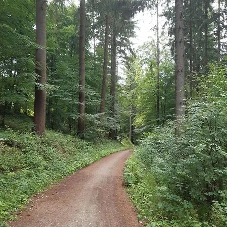 Apartmán Gemuetliche Dachwohnung Am Tor Zum Schwarzwald *