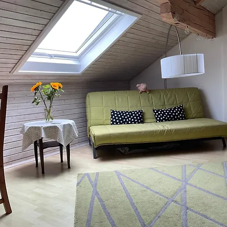 Gemuetliche Dachwohnung Am Tor Zum Schwarzwald 아파트 Bischweier